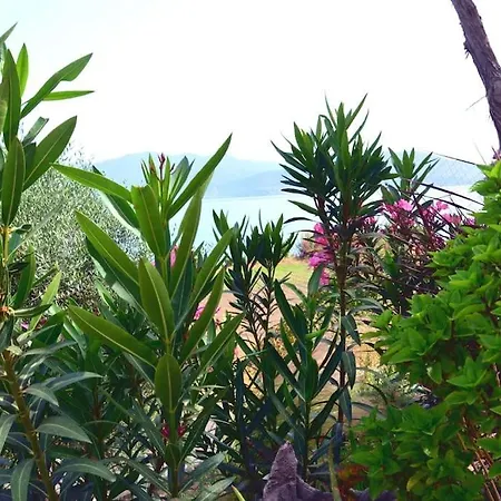 Nyaraló Terra Saronia *