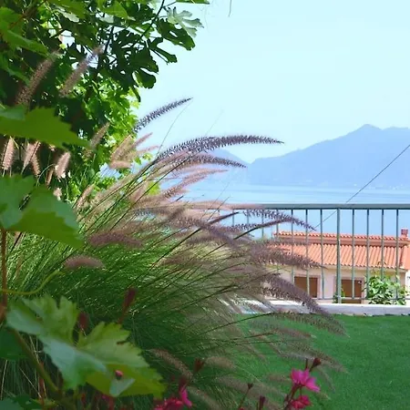 Terra Saronia