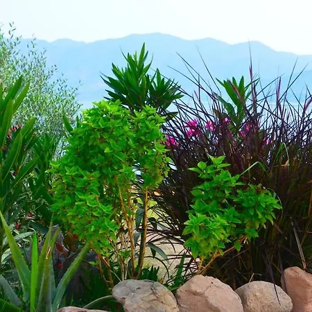 Terra Saronia Vakantiehuis *