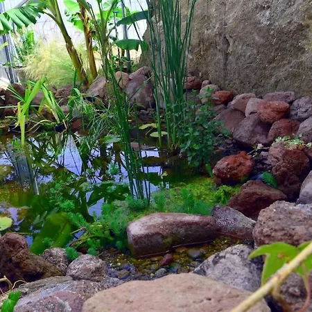 Terra Saronia Vakantiehuis Metamorfosi (Troizinia-Methana)