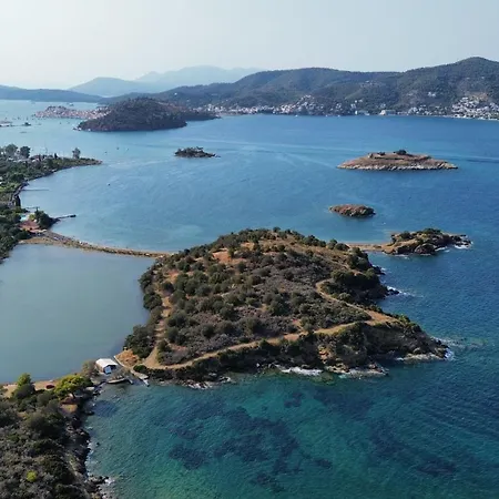 Terra Saronia * Metamorfosi (Troizinia-Methana)