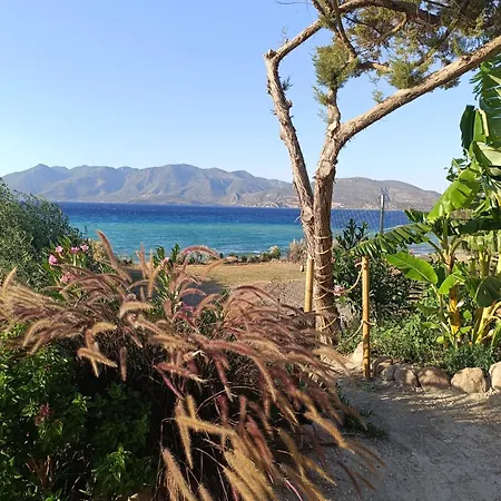 Terra Saronia Metamorfosi (Troizinia-Methana)