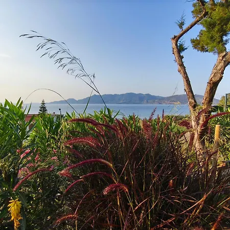 Casa de Férias Terra Saronia