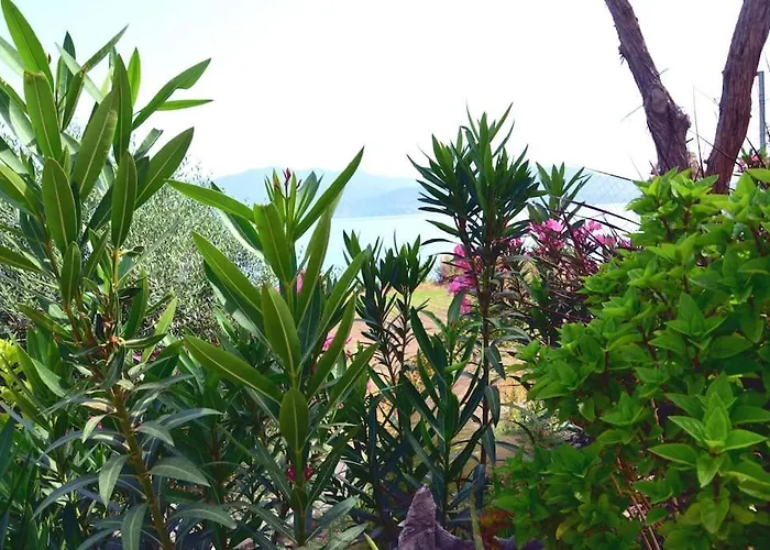 Holiday home Terra Saronia *