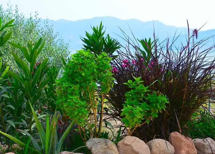 Terra Saronia Holiday home *