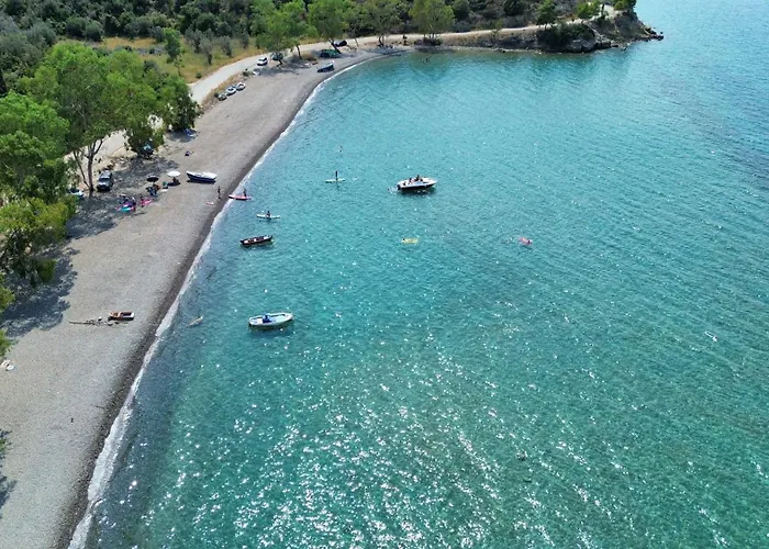 Terra Saronia * Metamorfosi (Troizinia-Methana)