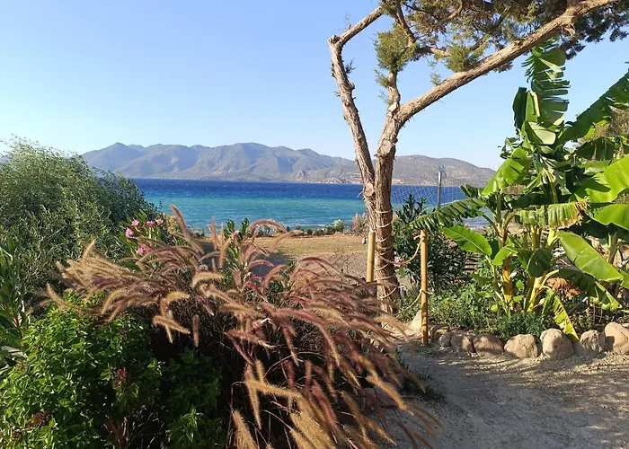 Terra Saronia Metamorfosi (Troizinia-Methana)